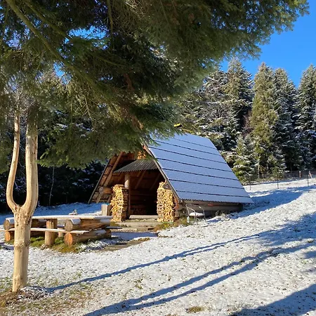 Pod Lasem Zubrzyca Gorna